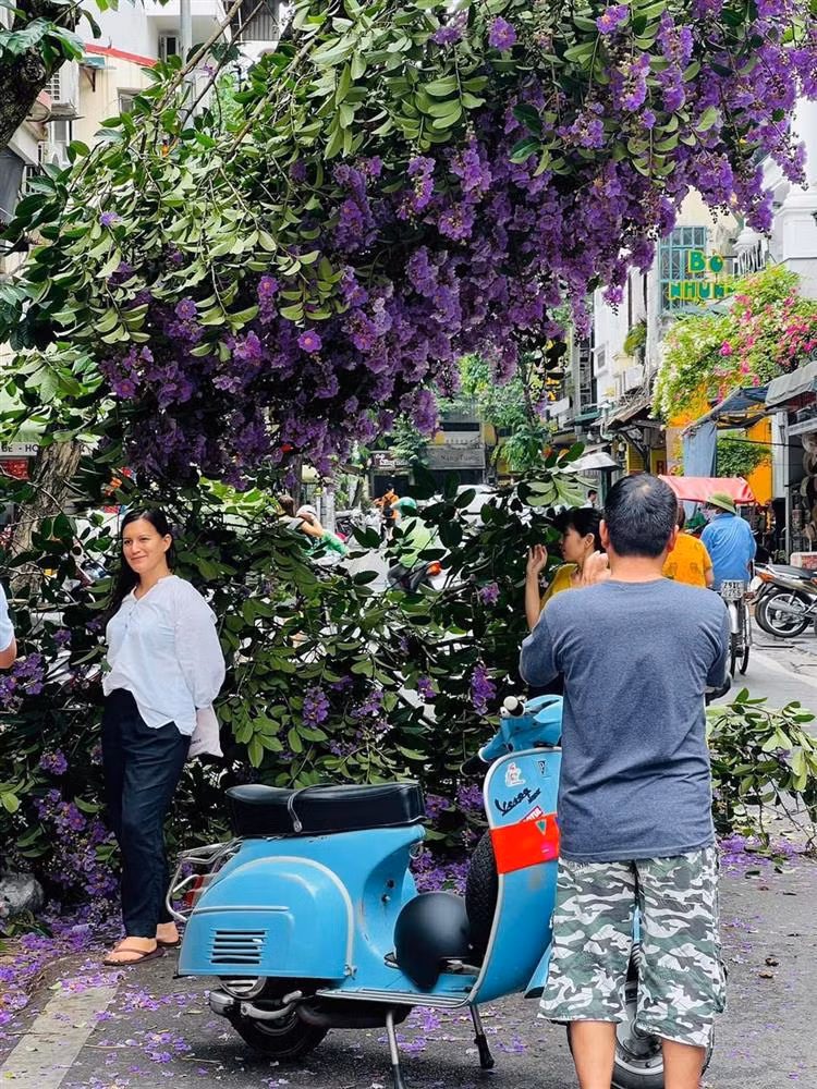 Bang lang tim gay giua pho co, dan tinh o at den check-in-Hinh-5