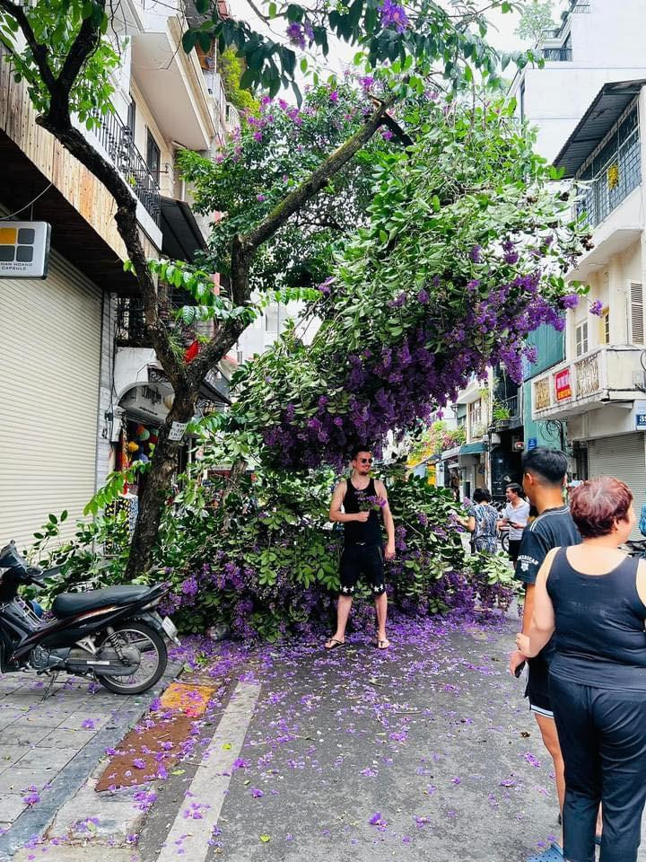 Bang lang tim gay giua pho co, dan tinh o at den check-in-Hinh-2