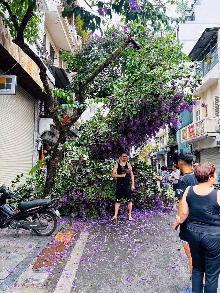 Bang lang tim gay giua pho co, dan tinh o at den check-in-Hinh-2