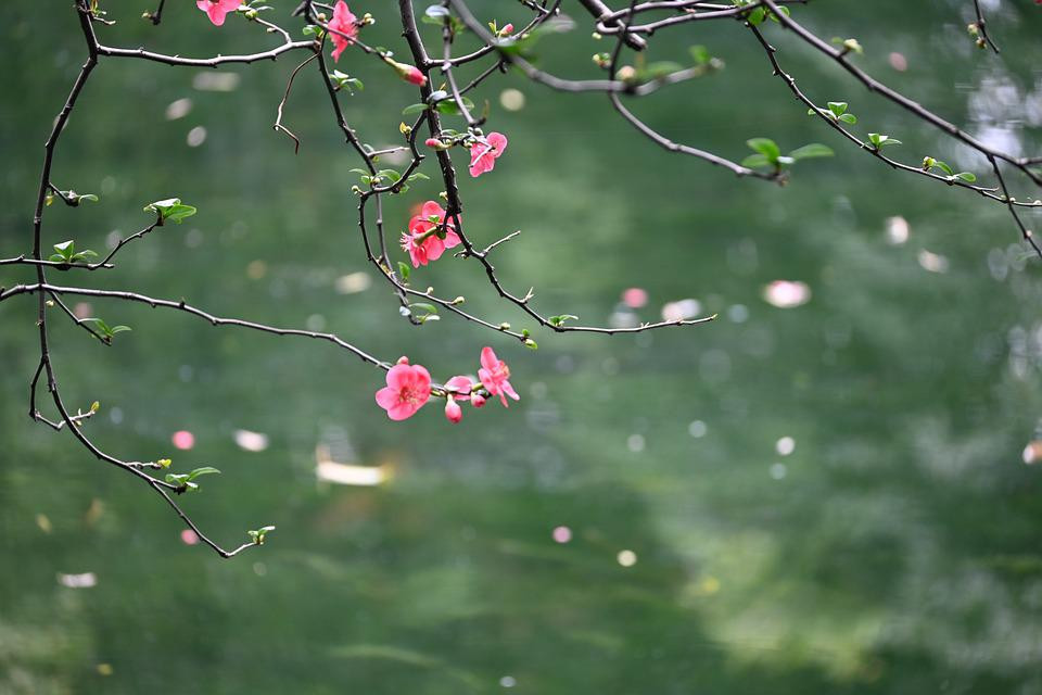 Người sinh vào 3 tháng Âm lịch này vất vả trước, hưởng phúc sau - Hình 4 Nguoi sinh vao 3 thang Am lich nay vat va truoc, huong phuc sau-Hinh-4