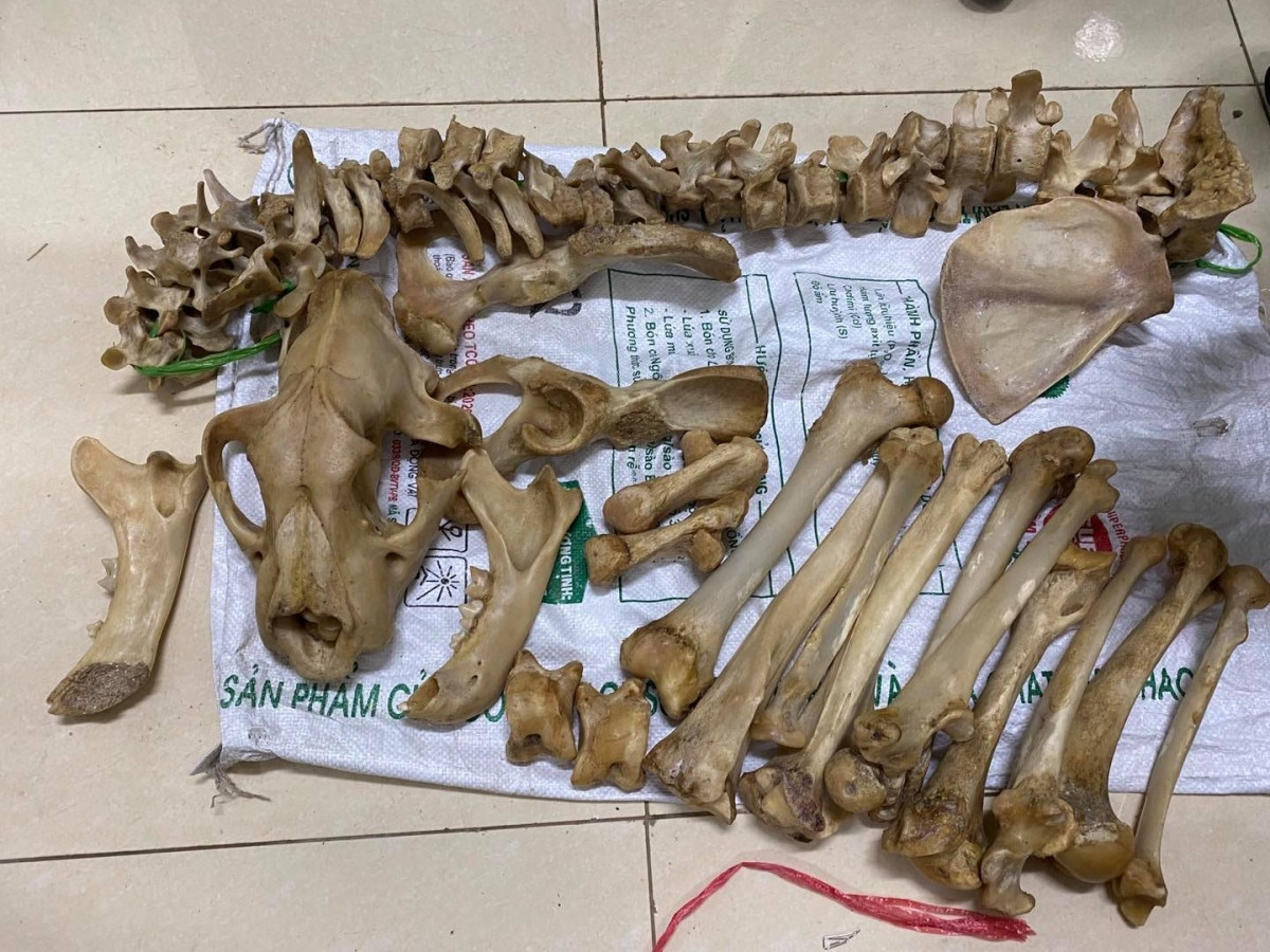 Xương động vật hoang dã. Nhiều người thích bày các loại sừng hươu, sừng tê giác... trong nhà. Tuy nhiên, những món đồ này mang vẻ ngoài hung dữ, hung khí nặng, không tốt cho gia đình.