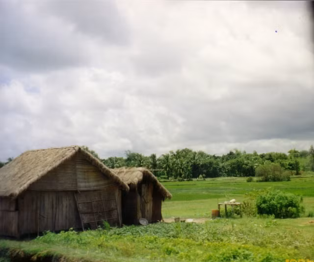 Khung cảnh thanh bình của nông thôn Việt Nam với ngôi nhà lá trên cánh đồng xanh.