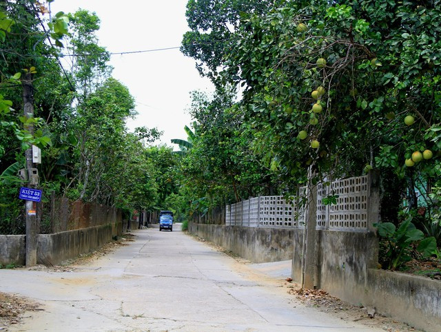 Vùng đất bãi bồi Thủy Biều (phường Thủy Biều) - 'thủ phủ' của thanh trà nằm cách trung tâm TP Huế khoảng 7km về phía Tây, bên dòng Hương thơ mộng lâu nay nổi tiếng với những vườn cây trồng quả thanh trà với hương vị thơm ngon.