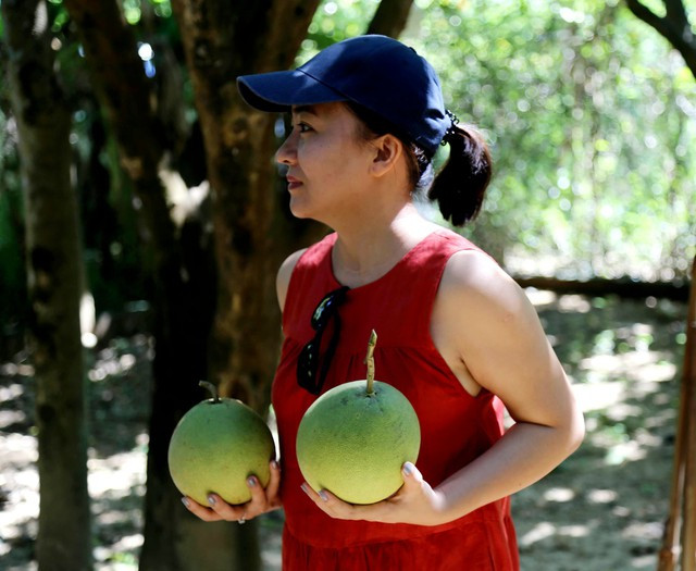 Theo các nhà vườn, đợt thu hoạch thanh trà này sẽ kéo dài đến cuối tháng 8 âm lịch, cao điểm nhất vào dịp Trung thu. Vào thời điểm hiện tại, giá thanh trà được thu mua tại vườn dao động từ 35.000 - 45.000 đồng/kg tùy theo chất lượng quả. Theo chủ vườn, năm nay thanh trà được mùa, được giá nên người nông dân rất vui mừng, phấn khởi.