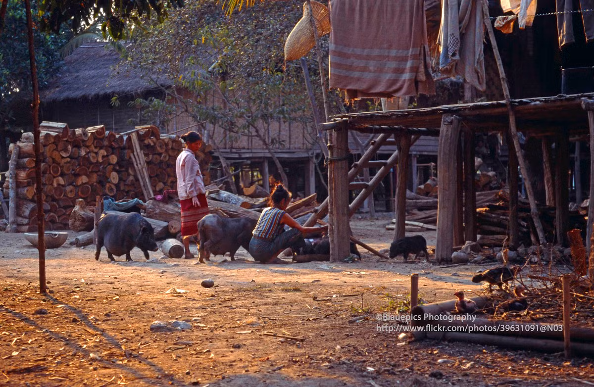 Cảnh sinh hoạt đời thường tại một bản làng gần thị trấn Muang Kham.