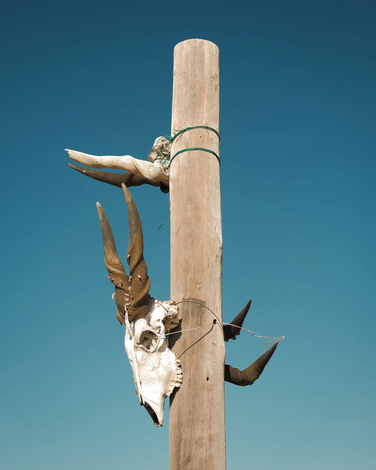 Những dấu vết nhân tạo ít ỏi ở đây đều đang trong tình trạng mục nát: Biển báo chỉ đường đã phai màu loang lổ, một giàn khoan dầu bỏ hoang chỉ còn lại đống rỉ sét, đang dần bị ăn mòn bởi thời gian, cát và không khí biển. Trong ảnh là tàn tích của một giàn khoan dầu cũ bị ăn mòn (bên phải), cùng hộp sọ của một con linh dương châu Phi và các động vật khác được gắn vào cột gỗ dọc theo đường cao tốc (bên trái).