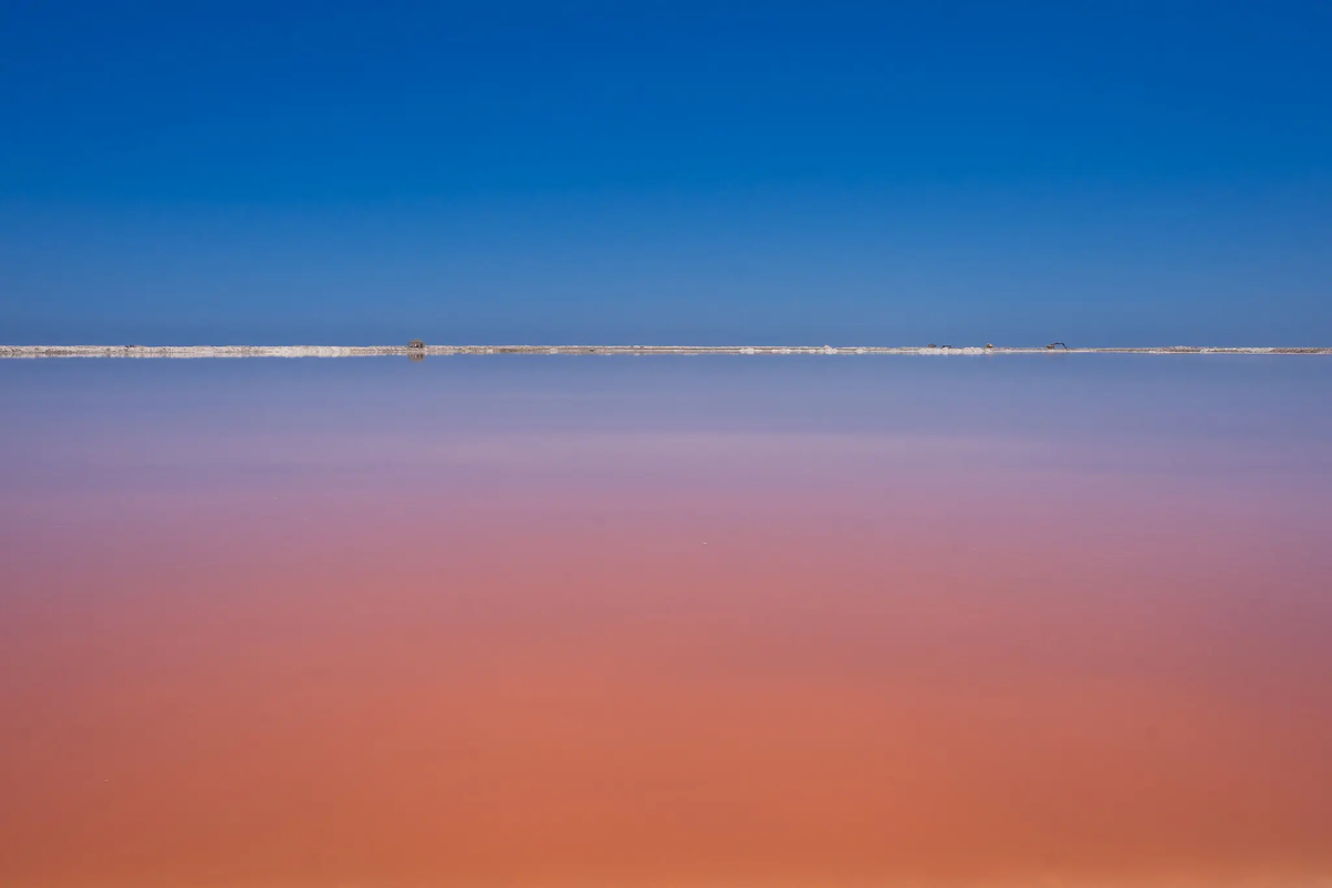 Genna Martin cũng đi qua khu khai thác muối ở Vịnh Walvis, nơi những vựa muối khổng lồ có màu hồng sáng rực bởi sự hiện diện của loài vi tảo Dunaliella salina, trông rất đồng bộ với những con hồng hạc đang rình rập săn tôm ở vùng đầm lầy gần đó.