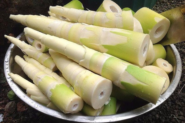 An mang se gay hai cho da day, dung hay sai?