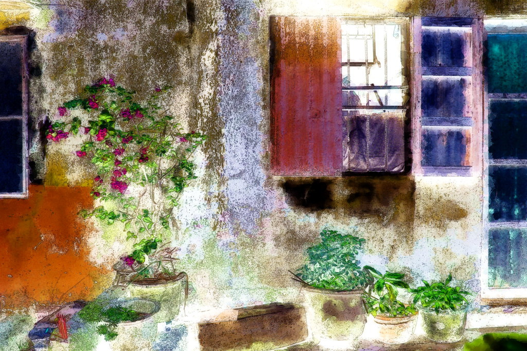 Một góc sân nhà.