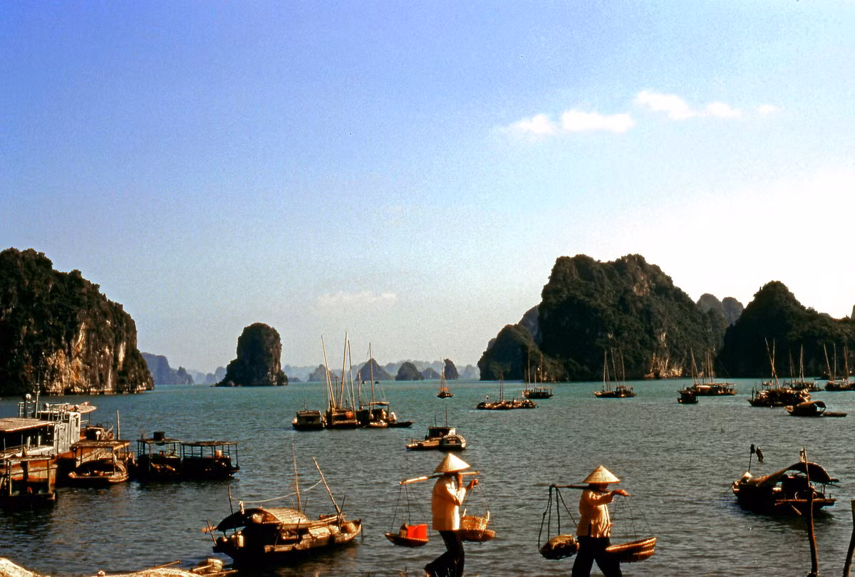 Cuộc sống đời thường bên bờ vịnh.