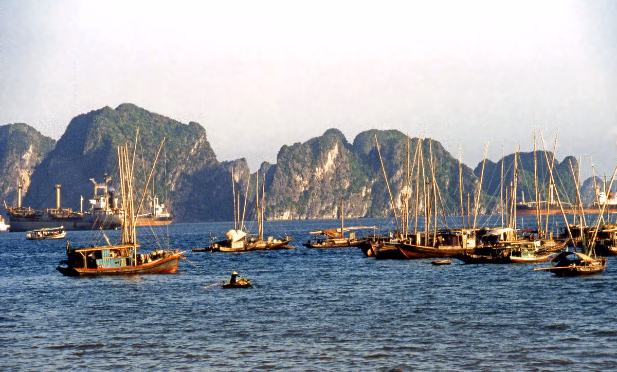 Những chiếc thuyền đánh cá trên vịnh Hạ Long.