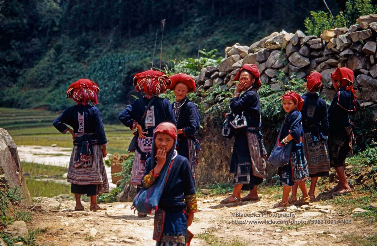 Phụ nữ và trẻ em đồng bào Dao Đỏ ở Sa Pa.