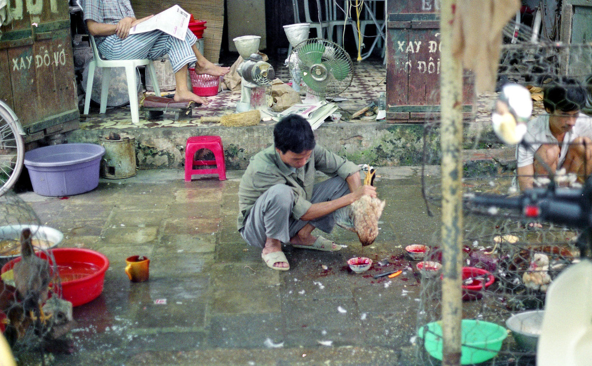Cảnh cắt tiết gà tại một khu chợ Hà Nội.