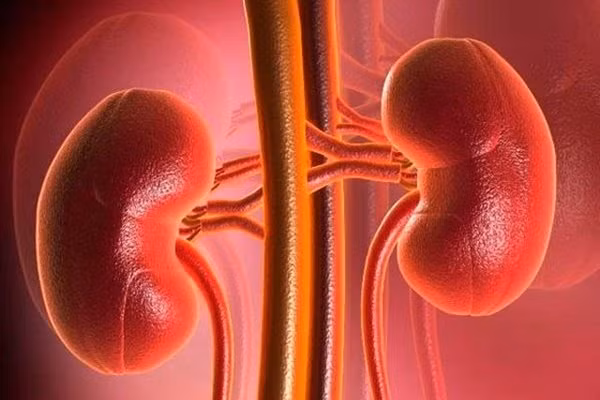 5 dau hieu cho thay than dang bi ton thuong