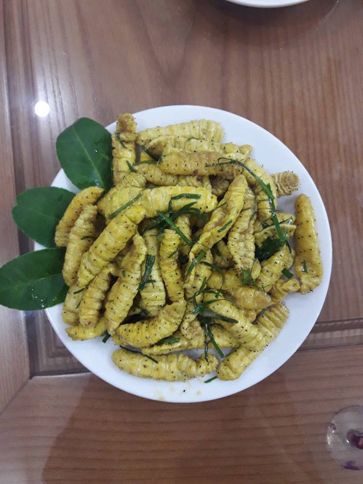 Trên thị trường, tằm lá sắn được bán với giá từ 80.000-120.000 đồng/kg tùy thời điểm