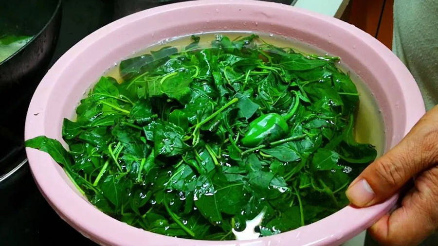 Loại rau bảo bối, cực tốt cho sức khỏe, mọi người thường vứt đi - Hình 4 Loai rau bao boi, cuc tot cho suc khoe, moi nguoi thuong vut di-Hinh-4