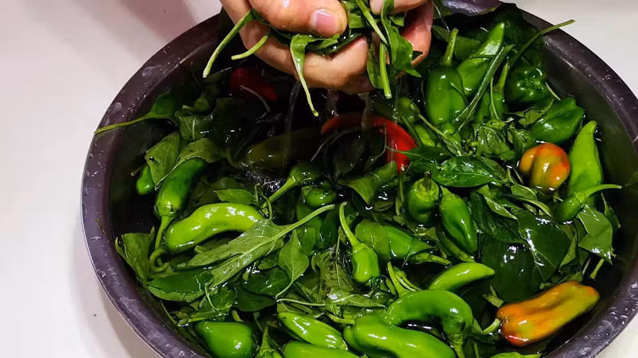 Loai rau bao boi, cuc tot cho suc khoe, moi nguoi thuong vut di