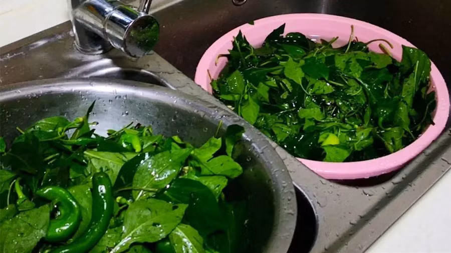 Loai rau bao boi, cuc tot cho suc khoe, moi nguoi thuong vut di-Hinh-3