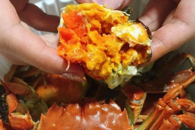 Loại cua lạ ở Bắc Giang có giá hơn nửa triệu đồng/kg - Hình 3 Loai cua la o Bac Giang co gia hon nua trieu dong/kg-Hinh-3