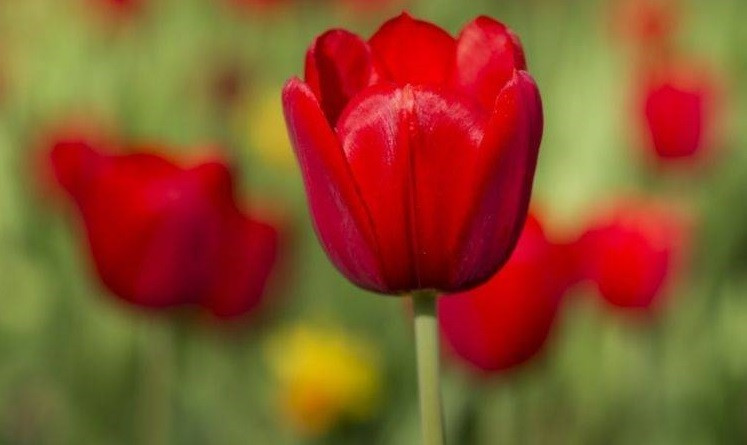 Tuần mới từ ngày 10/10, 3 con giáp được Thần Tài ưu ái - Hình 2 Tuan moi tu ngay 10/10, 3 con giap duoc Than Tai uu ai-Hinh-2