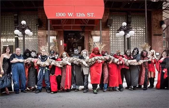 Kỷ lục về loài trăn gấm khổng lồ được sách Guiness công nhận là con trăn gấm có tên Medusa ở Kansas, bang Missouri nước Mỹ. Ở thời điểm tháng 10.2011, người ta đo được chiều dài của nó là 7,67m và giữ kỷ lục con rắn còn sống dài nhất thế giới.