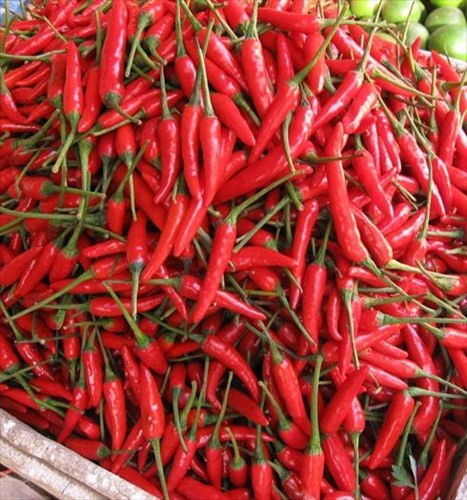 Đồ ăn giàu iod. Một số thức ăn giàu iod thường làm đối với mụn lâu khỏi. Mặt khác, tin tưởng sử dụng nhiều thức ăn có các gia vị cay nóng như gừng, ớt, tỏi, tiêu… cũng làm mụn mọc nhiều hơn