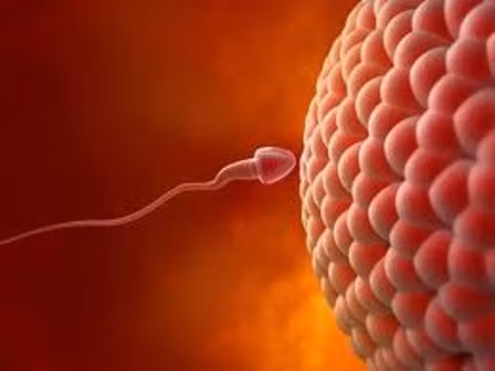 Cũng có trường hợp sinh đôi, sinh ba cùng trứng nhưng không cùng giới tính. Lí do bởi trứng này đã thụ tinh cùng lúc với hai tinh trùng. Một trong hai đứa trẻ sinh đôi sẽ là lưỡng tính (giới tính nam và giới tính nữ cùng tồn tại) trong khi đứa trẻ còn lại sẽ phát triển hoàn toàn bình thường. Tuy nhiên trường hợp này rất ít khi sống sót.