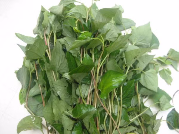 Mặt nạ diếp cá làm trắng da. Lấy 1 thìa mật ong nguyên chất trộn với 1 thìa nước cốt diếp cá. Mật ong giúp da dưỡng ẩm, kháng khuẩn, chống lão hóa, làm giảm vết mụn sưng tấy, giúp da sáng và mịn màng hơn. Khi dùng chung với diếp cá, bạn sẽ cảm nhận được sự tươi mát và căng mịn.