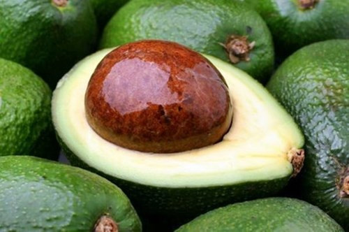 Bơ. Bơ làm từ sữa bò có các dưỡng chất phòng ngừa tóc bạc sớm. Nên mát xa vào chân tóc hai lần một tuần.