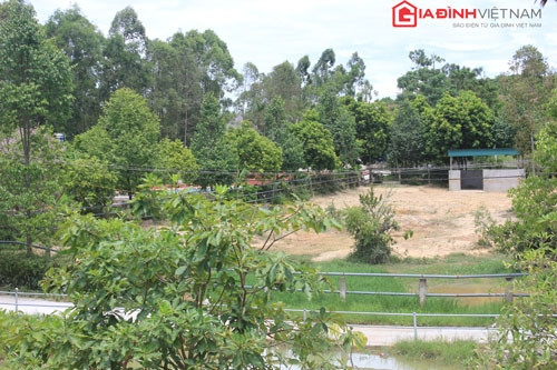 Khu vực nuôi nhốt tê giác.