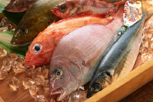 Một số loại cá. Không nên dùng cá quá nhiều, những loại cá thịt trắng thì hoàn toàn tốt nhưng không nên ăn nhiều cá kiếm vì hàm lượng thủy ngân cao có thể gây ra những vấn đề về sức khỏe và sự phát triển của trẻ. Dầu cá như dầu cá hồi, cá ngừ (phiên bản không đóng hộp) giúp phát triển não bộ, bảo vệ chống lại các bệnh lâu ngày không khỏi. Nhưng cùng không nên sử dụng nhiều, 2 phần dầu cá trên 1 tuần là phù hợp, vì chúng có thể chứa nhiều thủy ngân.