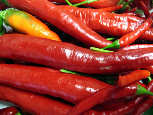 Ăn nhiều đồ cay. Những gia vị như ớt, hạt tiêu… là gia vị ưa thích và không thể thiếu trong các bữa ăn. Tuy nhiên, chúng đều có tính kích thích khá cao. Do đó, nếu bạn ăn nhiều các loại gia vị này có thể dẫn đến táo bón. Nếu những phụ nữ có dự định mang thai hoặc đã có thai nên hạn chế các gia vị này để tránh xuất hiện những chướng ngại về khả năng tiêu hóa.