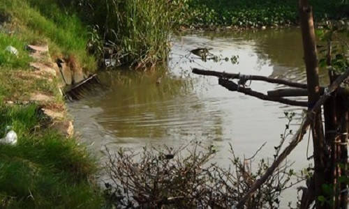 Khu vực nạn nhân bị mất tích.