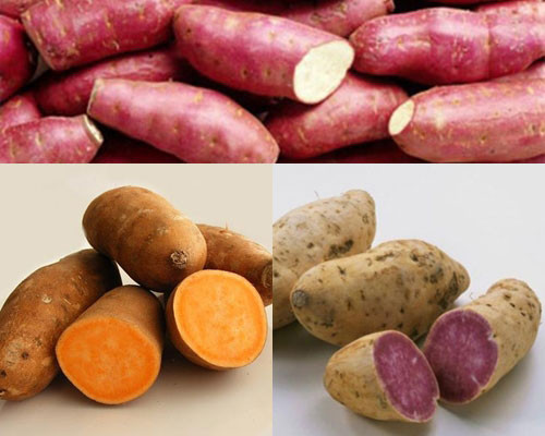 Giảm cân. Khoai lang cũng là sự lựa chọn số 1 cho những người muốn giảm béo. Năng lượng có trong khoai lang rất ít, chỉ bằng 1/3 so với cơm và 1/2 so với khoai tây. Loại củ này không chứa chất béo và cholesterol, ngăn ngừa quá trình chuyển hoá đường trong thức ăn thành mỡ và chất béo trong cơ thể. Ăn khoai lang trước bữa ăn sẽ tạo cảm giác no bụng, vì thế sẽ giảm được lượng thức ăn hấp thụ trong bữa ăn chính.