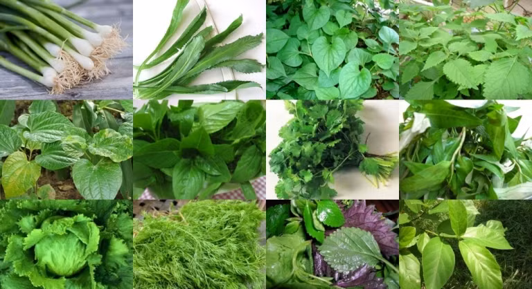 Các loại rau thơm. Trừ khi được bọc chặt chẽ trong những chiếc túi hoặc đặt trong một chiếc bình kín, còn không đừng để các loại rau thơm trong tủ lạnh. Các loại rau này có thể hấp thụ mùi của các thực phẩm khác trong tủ lạnh và khiến chúng không còn mùi vị như lúc đầu. Hơn nữa, chúng cũng bị héo nhanh nếu để trong tủ lạnh.