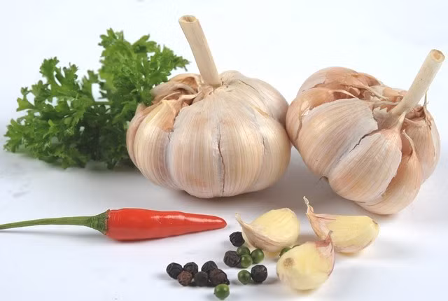 Tỏi. Tỏi sẽ biến dạng, phát triển nấm mốc và bị mềm khá nhanh khi bị để trong tủ lạnh. Do bề ngoài được vỏ bao bọc lên bạn không nhận ra sự thay đổi của các tép tỏi bên trong. Chỉ đến khi bóc ra nấu nướng bạn mới nhận thấy sự thay đổi này. Bạn nên lưu trữ tỏi ở nơi mát mẻ, khô ráo như tủ bếp. Tỏi có thể để được trong 2 tháng nếu được lưu trữ đúng cách.