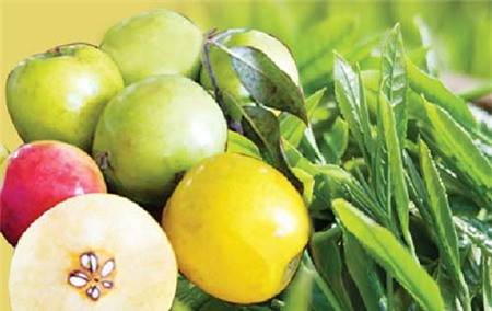 Táo mèo. Táo mèo là loại trái cây tốt cho sức khỏe, được dùng trong đông y làm thuốc chữa bệnh trị tăng huyết áp, kích thích tiêu hóa … tuy nhiên nó lại là thứ nguy hiểm cho các mẹ bầu khi mang thai, nhất là những tháng đầu của thời kì thai nghén. Có nhiều nghiên cứu cho thấy táo mèo có tác dụng kích thích tử cung khiến tử cung co bóp và thu nhỏ lại, điều này dễ khiến cho các mẹ bầu bị sảy thai và sinh non.