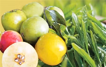 Táo mèo. Táo mèo là loại trái cây tốt cho sức khỏe, được dùng trong đông y làm thuốc chữa bệnh trị tăng huyết áp, kích thích tiêu hóa … tuy nhiên nó lại là thứ nguy hiểm cho các mẹ bầu khi mang thai, nhất là những tháng đầu của thời kì thai nghén. Có nhiều nghiên cứu cho thấy táo mèo có tác dụng kích thích tử cung khiến tử cung co bóp và thu nhỏ lại, điều này dễ khiến cho các mẹ bầu bị sảy thai và sinh non.