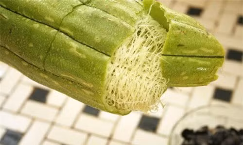 Quả mướp già, sau khi phơi khô các bạn đập vỏ và bỏ hạt, sau đó cho thêm 10 gai bồ kết, 1 củ hành tím rồi bỏ vào ấm nhỏ có chứa sẵn 2 bát( chén) nước. Đum sôi, để lửa nhỏ cho đến khi đặc lại còn khoảng 1 chén thì lấy ra uống. Tiếp theo dùng tay massage nhẹ nhàng từ trên xuống dưới rồi nhờ người lớn mút mạnh bầu vú để kích thích sữa ra. Làm thế khoảng 2-3 lần là sữa sẽ thông.