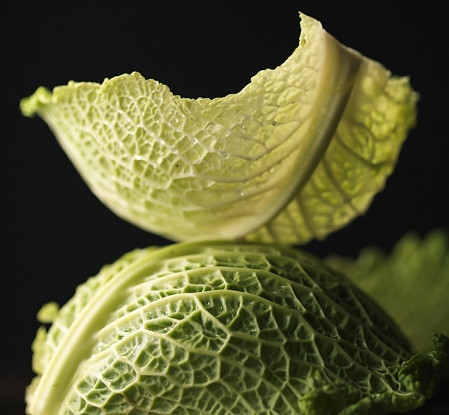 Lá bắp cải rửa sạch, để ráo nước. Có thể cắt bỏ bớt phần lá mềm đi, chỉ để lại phần cọng cứng. Dùng phần cọng cứng của lá bắp cải hơ lửa cho thật nóng (càng nóng càng tốt), đắp lên chỗ bị tắc sữa một lớp khăn, nếu sợ nóng quá thì để vài ba lớp khăn. Sau đó, đặt cọng cứng bắp cải đã hơ nóng lên chỗ bị tắc sữa, rồi dùng tay day thật mạnh. Bớt nóng thì lại hơ rồi làm tiếp, lá héo thì thay lá khác.