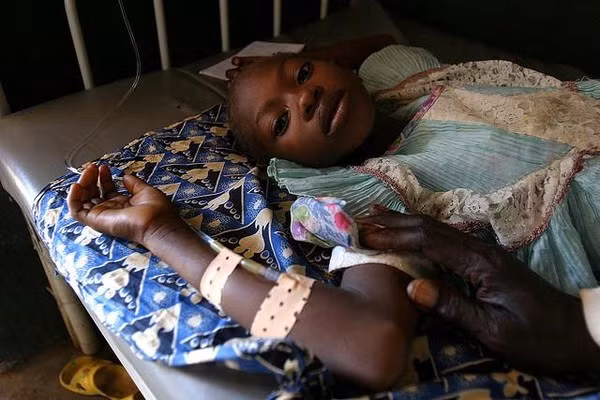 Vi rút Ebola lây truyền từ người sang người do tiếp xúc trực tiếp với máu, các chất tiết của cơ thể (phân, nước tiểu, nước bọt, tinh dịch) của người mắc bệnh, hoặc các vết xước trên da hay niêm mạc của người lành tiếp xúc với môi trường bị ô nhiễm với các chất tiết của người nhiễm vi rút (quẩn áo, ga trải giường nhiễm bẩn hay kim tiêm đã qua sử dụng).