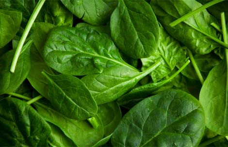 Rau Bina. Rau Bina và các loại rau có lá màu xanh đậm là những loại thực phẩm giúp bà bầu mang song thai nạp rất nhiều canxi, axit folic, vitamin K, vitamin C, sắt, chất xơ v.v… Có nhiều cách để chế biến món rau Bina trở thành một món ăn ngon mắt, ngon miệng và bổ dưỡng như kẹp chung với các loại bánh sanwich, xào với khoai tây hoặc mì, nấu súp …