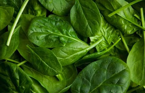 Rau Bina. Rau Bina và các loại rau có lá màu xanh đậm là những loại thực phẩm giúp bà bầu mang song thai nạp rất nhiều canxi, axit folic, vitamin K, vitamin C, sắt, chất xơ v.v… Có nhiều cách để chế biến món rau Bina trở thành một món ăn ngon mắt, ngon miệng và bổ dưỡng như kẹp chung với các loại bánh sanwich, xào với khoai tây hoặc mì, nấu súp …