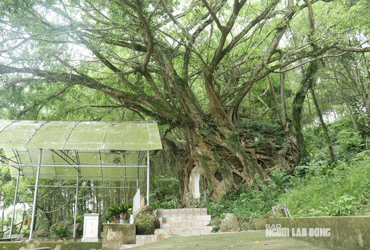 Ngôi miếu thiêng nằm tựa mình bên một sườn núi thấp, hướng ra giếng ngọc, ao sen cùng cánh đồng lúa của người dân địa phương. Trải qua hàng trăm năm, ngôi miếu này vẫn luôn giữ được vẻ đẹp nguyên sơ.