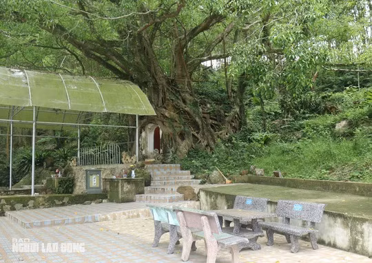 Có lẽ nhờ được bộ rễ che chở mà ngôi miếu này dù đã tồn tại hàng trăm năm nhưng vẫn được bảo vệ tương đối nguyên vẹn cho tới tận bây giờ. "Ngôi miếu này rất thiêng, có nhiều người tới đây cầu gặp may mắn, bình an. Chính vì thế, người làng tôi ai cũng ra sức bảo vệ"- ông Trần Vũ Luận cho hay.