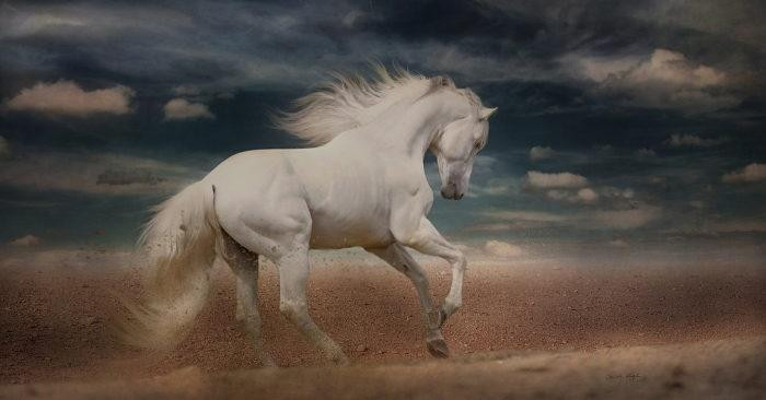 Tiền bạc không cần phải tìm kiếm đâu xa mà cũng tấn tới, nhờ được Thần Tài hỗ trợ mà tiền tiêu không hết, đếm tiền cũng không xuể. 