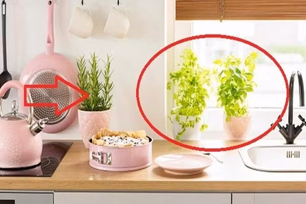 Bep tu tai don loc: Co 2 thu dai cat, cuoi nam lam gi cung may