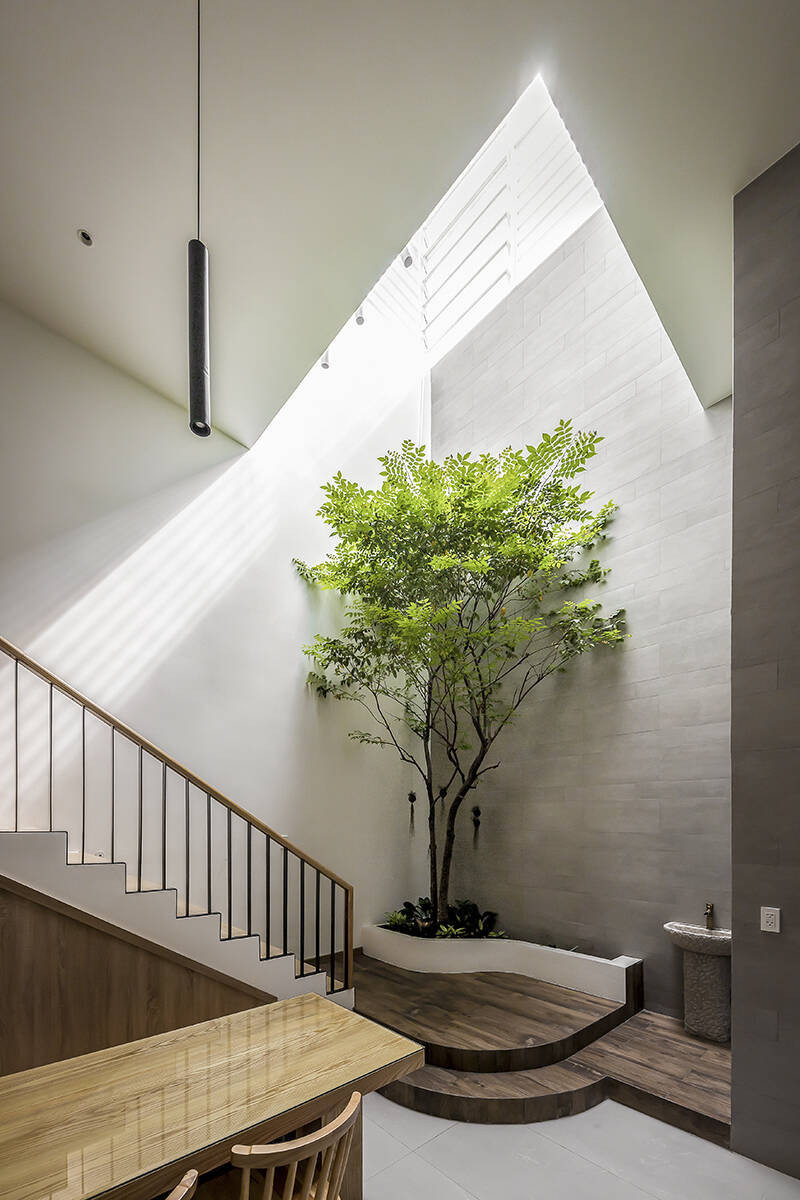 Khu vực nào cũng sáng thoáng nhờ thiết kế thông tầng hợp lý. Cây trồng trong nhà được cung cấp đầy đủ ánh sáng, không khí tự nhiên để phát triển. Cầu thang dẫn lên tầng cũng được ốp gỗ đồng màu với đồ nội thất.