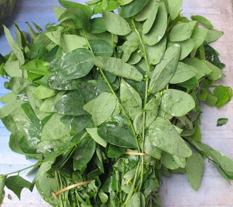 Nước rau ngọt rất ngọt, mát, rau ngót cho nhiều thành phần vitamin mà cơ thể bé cần.