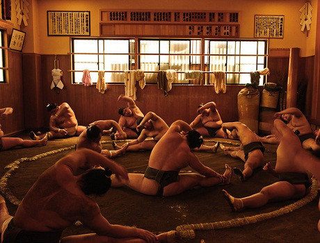 Được vỗ béo, có sức khỏe vô địch, trải qua cuộc đời một vận động viên Sumo, được đứng trên đỉnh vinh quang, được tôn sùng nhưng những họ phải đối mặt với rất nhiều nguy cơ sau này đặc biệt khi giải nghệ. Ảnh: Viettime Được vỗ béo, có sức khỏe vô địch, trải qua cuộc đời một vận động viên Sumo, được đứng trên đỉnh vinh quang, được tôn sùng nhưng những họ phải đối mặt với rất nhiều nguy cơ sau này đặc biệt khi giải nghệ. Ảnh: Viettime